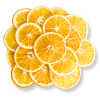 Dried Orange
