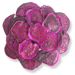 Dried Red Dragon Fruit